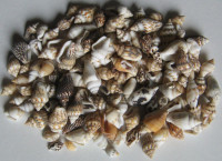 Set více jak 100 kusů